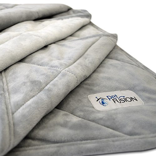 PetFusion Premium Plus Gesteppte Haustierdecke, mehrere Größen für Hunde und Katzen, leichte Innenfüllung, 70 g/m², wendbar, Mikroplüsch, 100% weiches Polyester, Grau, Größe S (PF-PM3A)