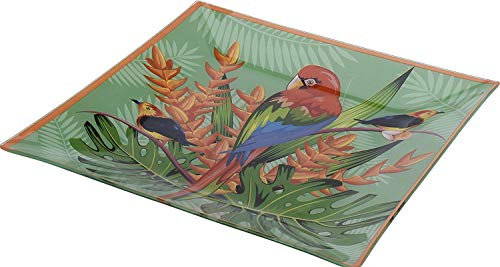 Koop Homewares Grande assiette carrée en verre de 31 cm - Couleurs vives de la nature (aras)