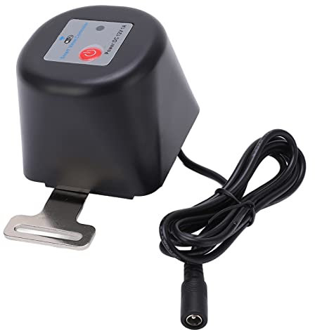 Válvula WIFI APP Control Remoto Sincronización Válvula de Agua Válvula de Tubería Inteligente para Control Manual Automático Tubería de Gas de Agua AC100-240V(EU)