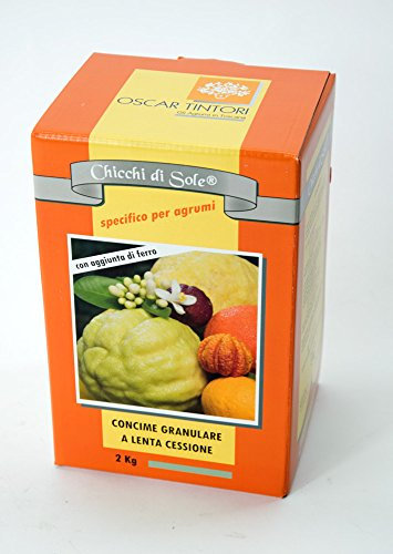 RAINBEAM Oscar Tintori Chicchi di Sole 2 kg Zitrusdünger Langzeitdünger speziell für Zitruspflanzen Granulat Mineralischer Dünger