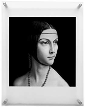 RY DISPLAY Schwebender Acryl-Bilderrahmen mit Chrom-Abstandshalter, Doppel-Panel-Wandhalterung, Fotorahmen für Bilder bis zu 27,9 x 35,6 cm