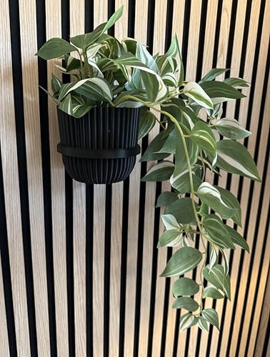 Vleugel Panneau Acoustique 2 Grands Anneaux + 2 Grands Pots