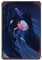 Sophie And Howl in Howl's Moving Castle, Bruno Frenda Poster, Retro-Poster, Metall-Blechschild, schicke Kunst, Retro, Eisenmalerei, Bar, Menschen, Höhle, Café, Familie, Garage, Poster, Wanddekoration,