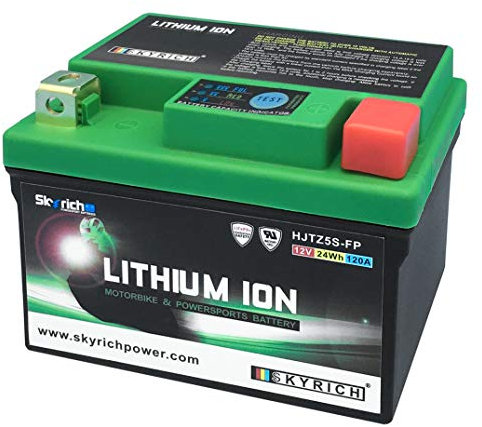 Skyrich HJTZ5S-FP batteria ricaricabile industriale Litio 12 V