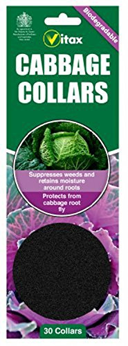 ( x2 ) Vitax Cabbage Collars Pack 30