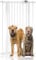 Bettacare Extra Hohes Druckmontierte Premium Haustiergitter, 68.5cm - 75cm, Weiß, Druckmontierte Treppengitter für Hunde, Sicherheitsbarriere, Einfache Montage