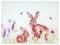 LESSER & PAVEY Hares Toughened Glass Cutting Chopping Board Serving Bees Floral Nature Pattern