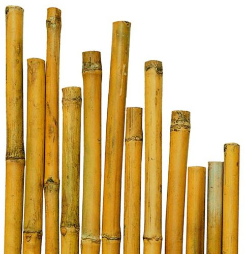 CANNA CANNETO PER PIANTE IN BAMBU Ø 28-30 MM H 240 CM 25 PZ PER AGRICOLTURA