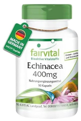 Fairvital | Echinacea 400mg - 90 Kapseln - 400mg Echinacea purpurea Pulver pro Kapsel - HOCHDOSIERT - VEGAN