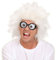 NET TOYS Graue Perücke Professor Erfinder Lehrer Erfinderperücke Fasching Karneval Nerd Irrer Verrückter