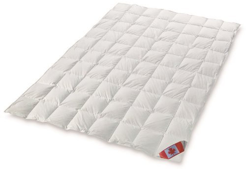 Schäfer Sommerbett Kassettenbett Polaris Premium canadische Daunen Daunenbett 100% Natur Gänsedaunenbett Wärmegrad 1 (135x200)
