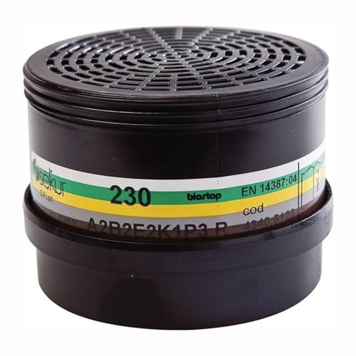 Ekastu Mehrbereichs-Kombifilter 230 A2B2E2K1-P3R D