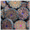 6 stk Pressed Czech glass beads origami flower round big with ornament, 18 mm Violet Iris (Gedrückte tschechische Glasperlen Origami-Blume runden groß mit Ornament Violette Iris)