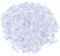 Fenglin-joy Mini Pinces à Linge Transparentes, 100 PCS Mini Clips de Photo Pinces de Photo en Plastique pour Photos Maison Chambre Decoration 3 * 25mm