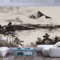 JIAOQSS 3D Papier Peint Panoramique Enfant Fille renarde du monde fantastique Grandes Murales Poster pour Salon, Adulte Chambre d'enfants, Étude Décoration