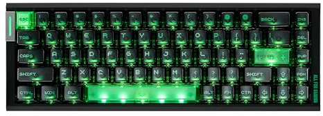 ATK RS6 Air 65% Wired Mechanical Gaming Keyboard, Hall Effect Magnetic Switches, Adjustable Actuation Rapid Trigger, 8K Polling Rate, RGB Backlight, PC Keycap, for PC Mac - Black