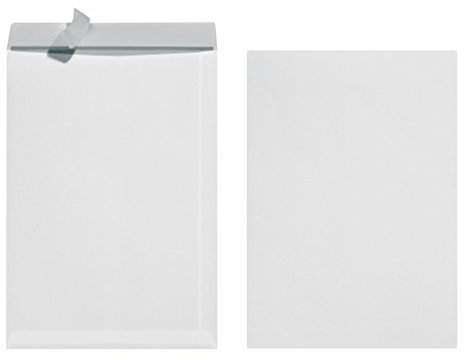 Herlitz Versandtasche B4 100 g Haftklebend, 10 Stück mit Innendruck in Folienpackung, eingeschweißt, weiß