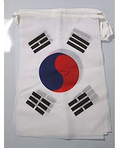 AZ FLAG - Guirlande Drapeau Corée du Sud - 12 Mètres Avec 20 Drapeaux Coréen De 45x30 cm - Fanions 100% Polyester - 200g