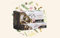 Golden Nag Verschiedene Düfte Original aus Indien Handgerollt Meditation Entspannung Aromatisch GRATIS Räucherstäbchen Halter (Buddha, 3)