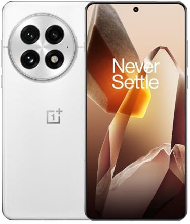 OnePlus 13 16-512 GB Arctic Dawn EU