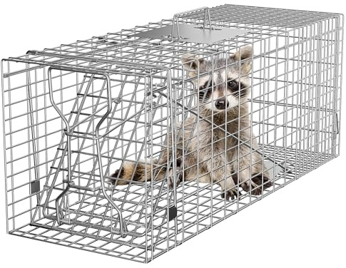 Smartxchoices 32 X 12 X 12.5 Large Live Animal Trap Cage Humane One-Door Solid Steel Catch and Release Rodent Cage for Raccoon, Rabbits, Stray Cats, Squirrel, Groundhogs, Opossums, Armadillos