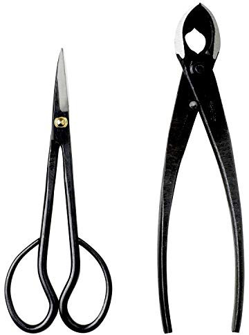 Wazakura Kit d'outils japonais pour bonsaï fabriqué au Japon – Ciseaux Hanafubuki Satsuki 180 mm + coupe-branche concave 200 mm Coffret cadeau