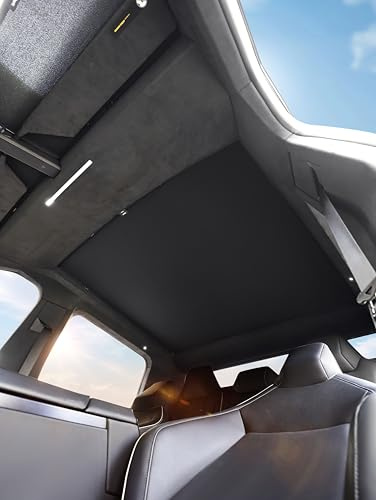 TAUTO Tesla Model Y - Parasol para Techo corredizo, Accesorios 2021 2020