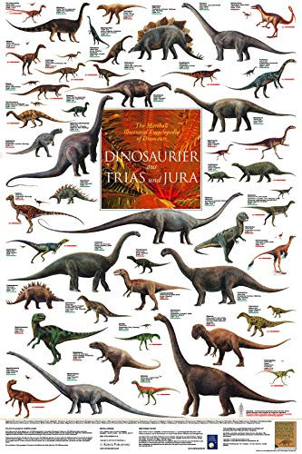 Close Up Dinosaurier aus Trias und Jura Poster laminiert (60cm x 90cm) + weiße Geschenkverpackung. Verschenkfertig!