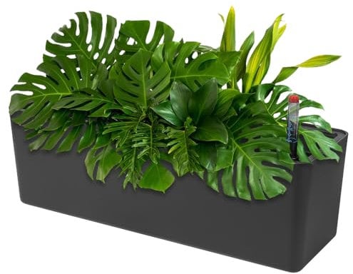 CPROSP 40cm Vasi da Fiori Autoinnaffianti Rettangolare, Vaso da Finestra con indicatore del livello dell'acqua per Esterni, Soffitti, Balconi Nero