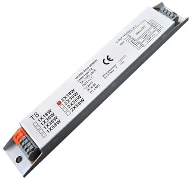 VISIYUBL Ballast électronique for Large Tension, 220-240V AC 2x18W T5/T8 2x18W 2x36W 2x58W, Ballasts de Lampe Fluorescente(T5 2x54W)