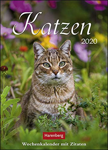 Katzen - Kalender 2020 - Harenberg-Verlag - Wochenkalender (klein) mit Zitaten - 16,5 cm x 23 cm