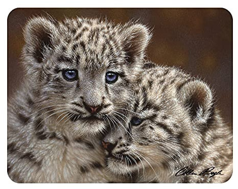 3D LiveLife Magnet - Playmates from Deluxebase. Lenticular 3D Tiger Cub Fridge Magnet. Magnetic decor for kids and adults with artwork licensed from renowned artist, Collin Bogle