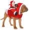 RANYPET Hund Santa Claus Reiten Weihnachtskostüm, Premium Haustier Kleidung Weihnachten Outfit für Kleine Große Hunde Katzen Weihnachtsfeier Anzieh M