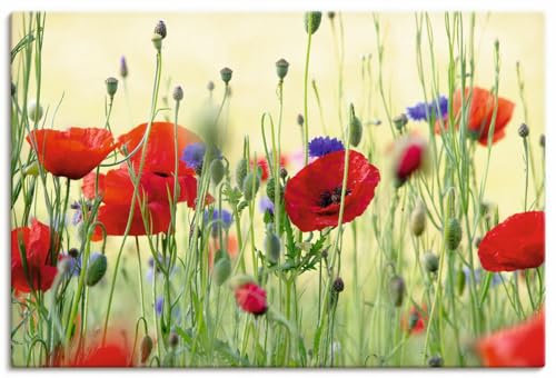 ARTLAND Wanddeko Leinwand Bilder Wandbild 90x60 cm Pflanzen Blumen Mohn Mohnblumen Kornblumen Blumenwiese Sommer U4YP