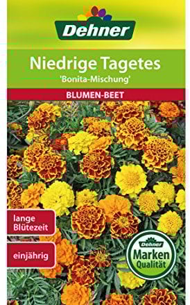 Dehner Blumen-Saatgut, Niedrige Tagetes, Bonita Mischung, 5er Pack (5 x 1.3 g)