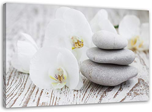 Feeby Bilder Orchidee 70x50 cm 1 Teilig Wohnzimmer Schlafzimmer Büro Flur Küche Wandbilder Leinwandbilder Modern Bild auf Leinwand Wanddekoration Kunstdruck Design Zen Weiß Grau