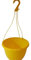 The Flowerpot Men 27CM PLASTIC HANGING POTS BASKETS PLANTERS X3 (x3, Yellow)
