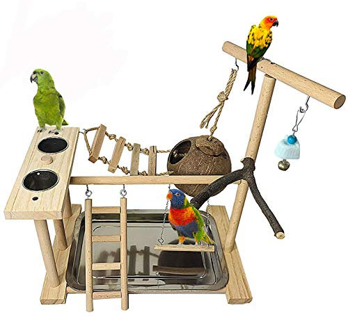 Tfwadmx Vogelspielplatz, Vogelspielständer mit Schaukel, Kletterleitern, Kauspielzeug, Sittich-Nistkasten, Fütterungstassen, Übungszentrum für Nymphensittiche, Sittiche, Nymphensitti