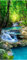 wandmotiv24 Türtapete Wasser Treppen im Wald, Natur, Bäume 100 x 200cm (B x H) - Dekorfolie selbstklebend Sticker für Türen, Türfolie, Aufkleber, M1295