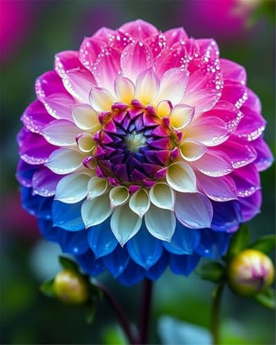 Mehrjährige Dahlien, Super Kollektion, Ideale Dahlien, Sehr Exklusiv, Gartendekoration, Gartendeko FüR DraußEn, 2Dahlien -G