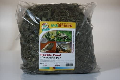 Löwenzahn pur, getrocknet 1 kg Deutsches Naturprodukt! (Siehe Videoanleitung)