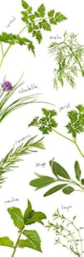 DECORATION adhésive pour CUISINE et réfrigérateurs Plantes Aromatiques Autocollant, Polyvinyle, Vert, 59,5 x 0,1 x 180 cm