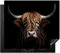 KitchenYeah© Induction Hob Protector Mat 20.5x23.2 / 59x52 cm Cooker Top Protectors Cover Ceramic Covers Electric Hobs Vinyl Scottish Highlander - Portrait - Black - Animal