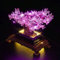 Light Kit Compatible with Lego 10281 Bonsai Tree Botanical Collection Set (No Model), Decoration Lighting Set Compatible with Lego Bonsai Baum 10281 Creative Toys