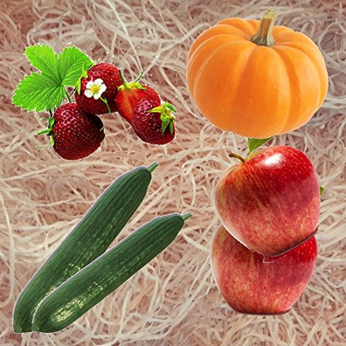 2kg Gartenholzwolle Gemüseholwolle Erdbeerholzwolle * Bio Qualität * PEFC Zertifiziert * aus Deutschem Wald - von unipak