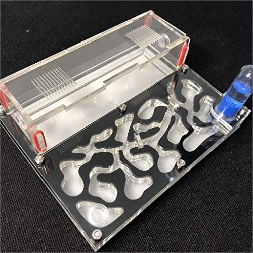 Formicarium Naturelle pour Ferme à Fourmis pour Tube à essai de Fourmis Live Humidité Grand Espace Nid de Fourmis en Acrylique, Fourmilière Insectes (Noir)