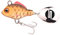 SPRO ASP Spinner UV– Searchbait mit original Gamakatsu Haken zum Angeln auf Raubfisch, Spinnangeln, Gewicht:5g, Farbe:Rudd UV