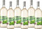 GERSTACKER Weißweinschorle (6 x 1 l)