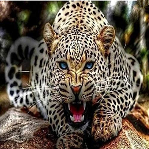 Yingxin34 5000-piece Jigsaw Puzzle for Adults - Leopard demonstriert Puzzle 5000-piece Jigsaw Puzzle for Adults-61.61x41.53 Zoll (156.5 x 105.5cm)