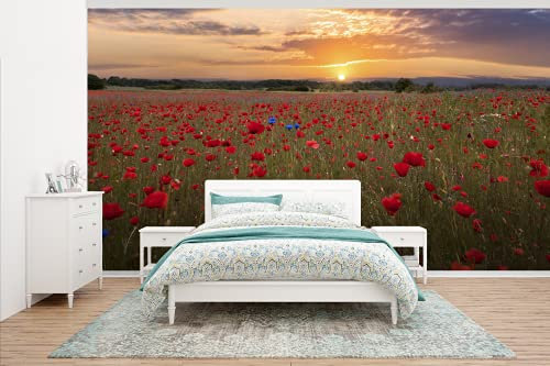 Selbstklebend Tapete Wandpapier Wandaufkleber Fototapete Tapeten Wanddeko 535x300 cm Blaue Mohnblumen zwischen roten Mohnblumen